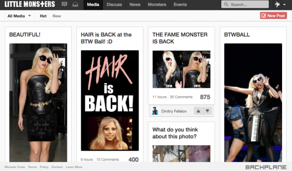 littlemonsters, red social de lady gaga