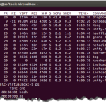 Los principales comandos de Linux Los principales comandos de Linux