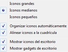 organizar iconos windows 7